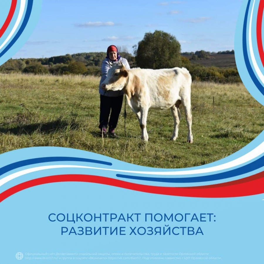 Соцконтракт помогает: развитие хозяйства