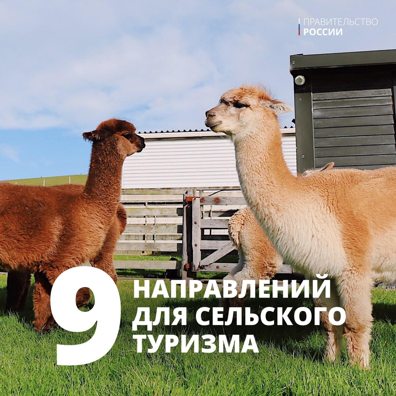 9 направлений для сельского туризма