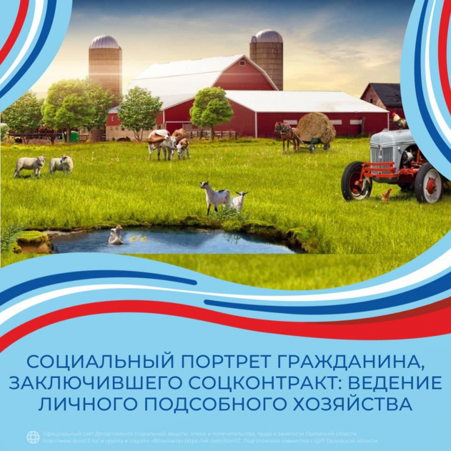 Социальный портрет гражданина, заключившего соцконтракт: Ведение личного подсобного хозяйства Социальный портрет гражданина, заключившего соцконтракт: Ведение личного подсобного хозяйства
