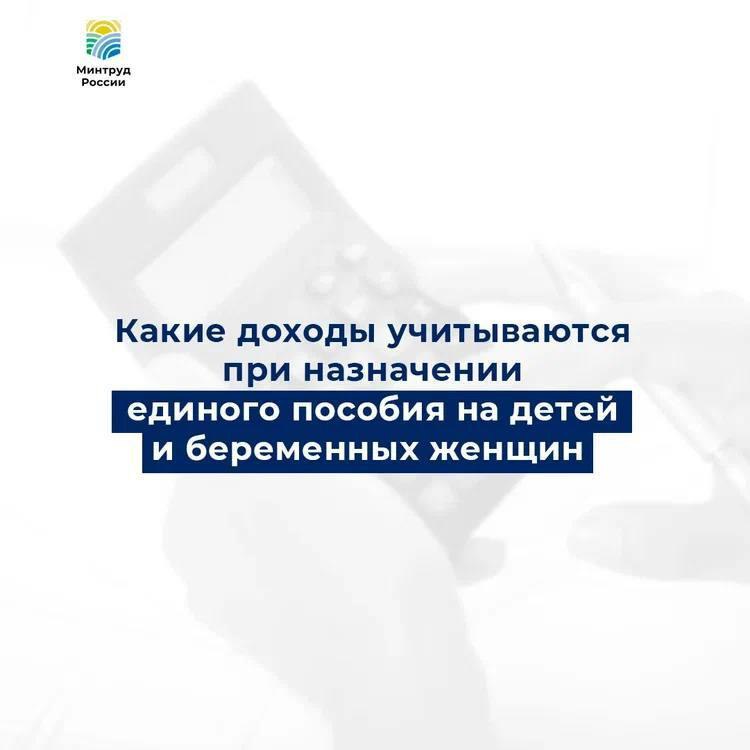 Какие доходы учитываются и не учитываются при назначении пособия на детей и беременных женщин? Какие доходы учитываются и не учитываются при назначении пособия на детей и беременных женщин?