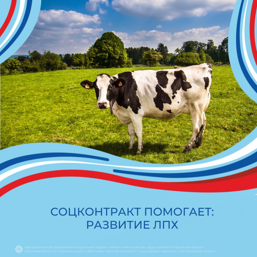 Жительница Урицкого района Наталья Должкова — очередная участница соцконтракта. Жительница Урицкого района Наталья Должкова — очередная участница соцконтракта.