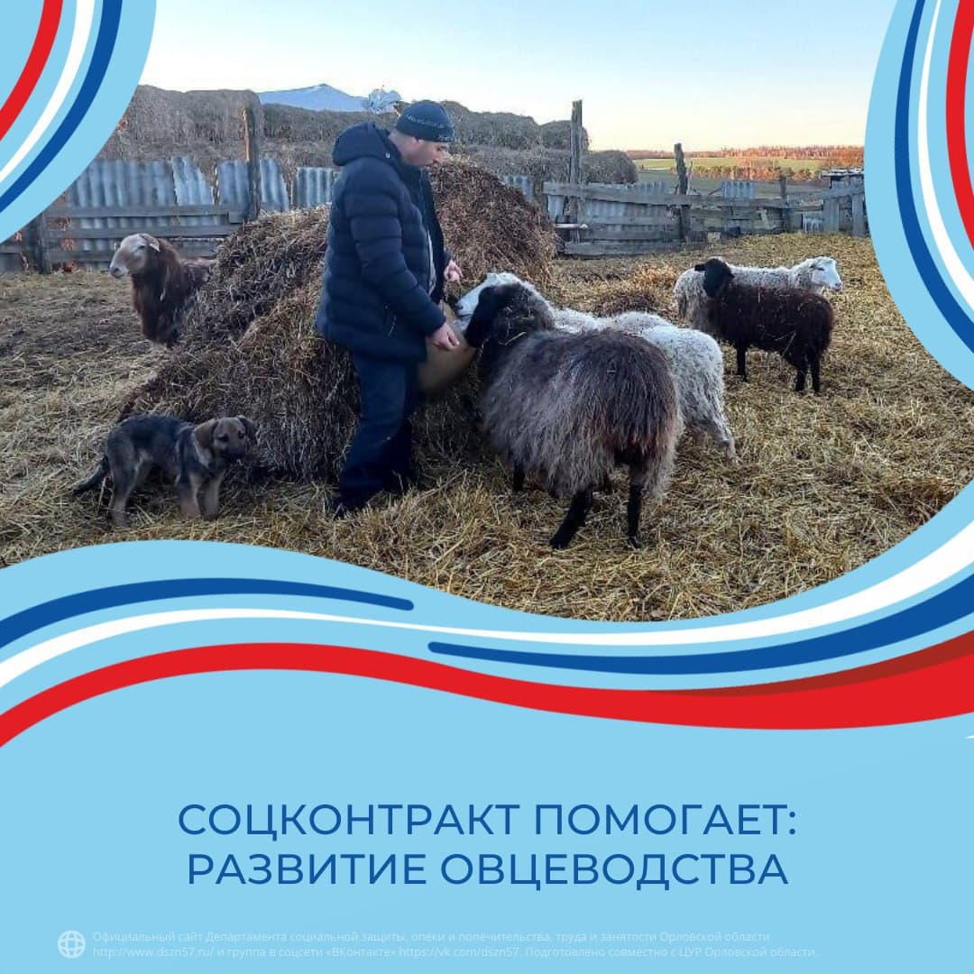 Соцконтракт помогает: развитие овцеводства Соцконтракт помогает: развитие овцеводства