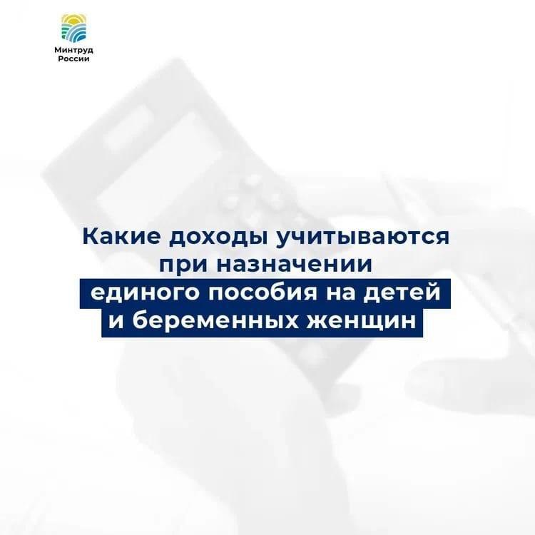 Какие доходы учитываются и не учитываются при назначении пособия на детей и беременных женщин